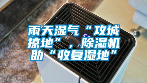 雨天湿气“攻城掠地”，除湿机助“收复湿地”