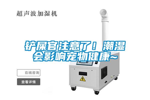铲屎官注意了！潮湿会影响宠物健康~