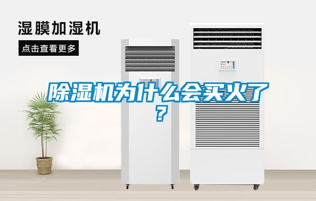 除湿机为什么会买火了？