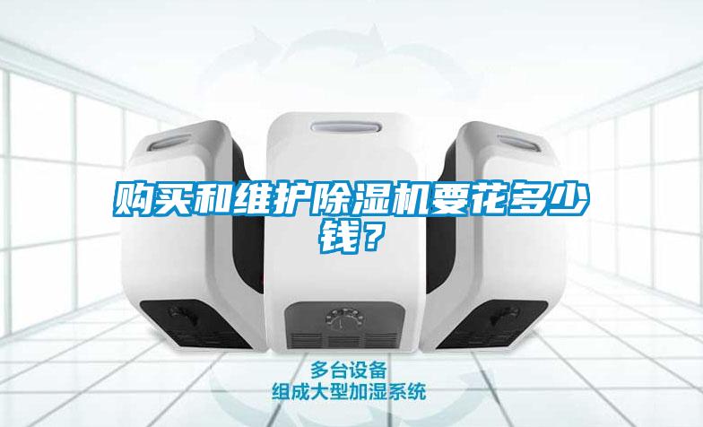 购买和维护除湿机要花多少钱？