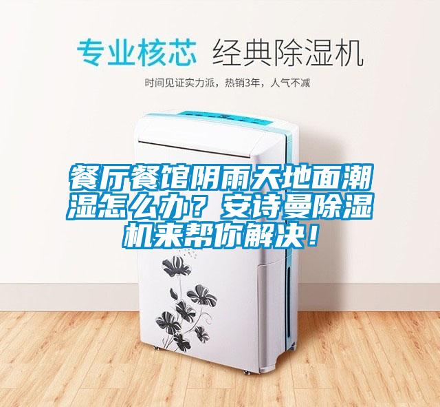 餐厅餐馆阴雨天地面潮湿怎么办？安诗曼除湿机来帮你解决！