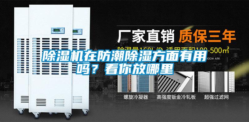 除湿机在防潮除湿方面有用吗？看你放哪里
