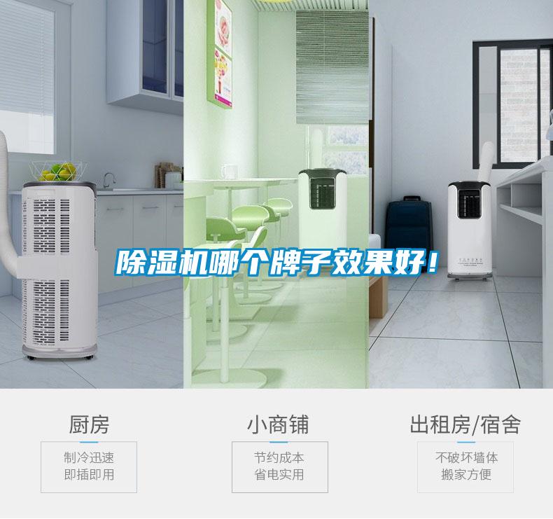 除湿机哪个牌子效果好！