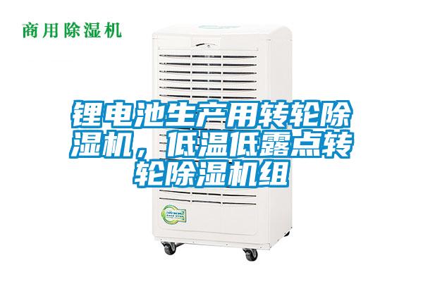 锂电池生产用转轮除湿机，低温低露点转轮除湿机组