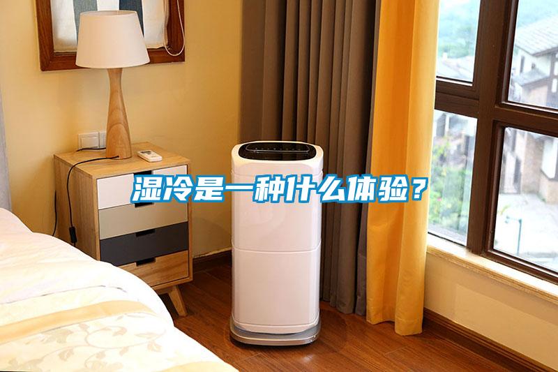 湿冷是一种什么体验？