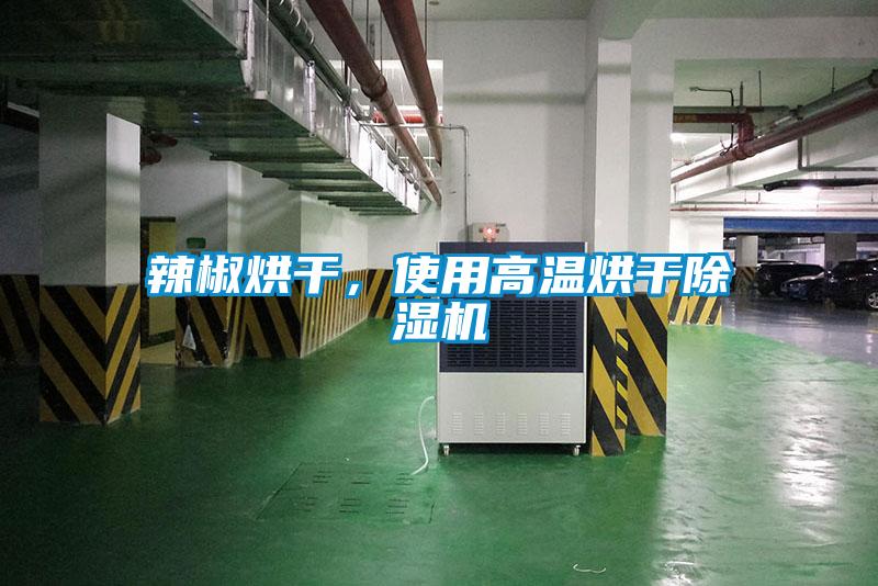 辣椒烘干，使用高温烘干除湿机