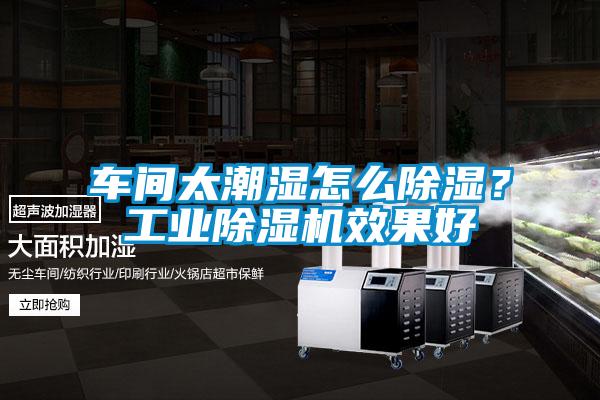 车间太潮湿怎么除湿？工业除湿机效果好