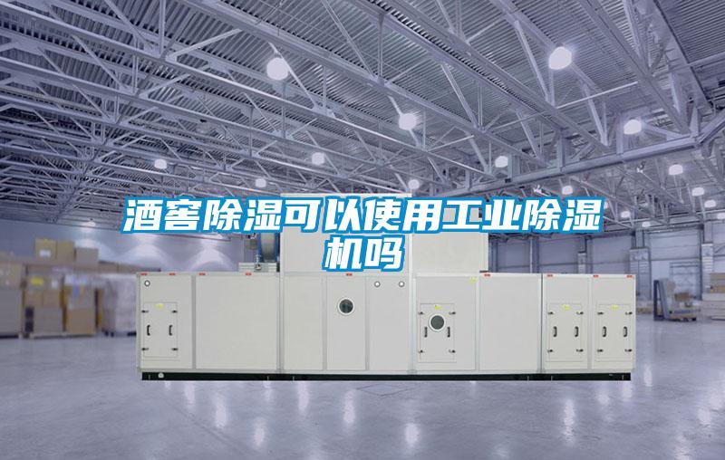 酒窖除湿可以使用工业除湿机吗