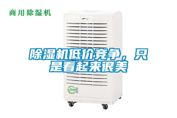 除湿机低价竞争，只是看起来很美
