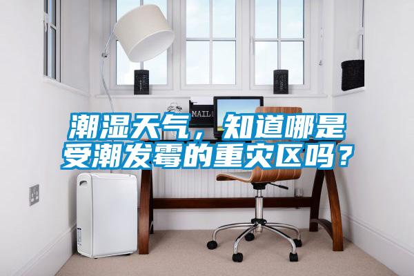 潮湿天气，知道哪是受潮发霉的重灾区吗？