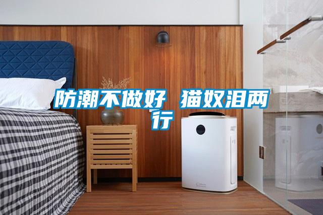 防潮不做好 猫奴泪两行