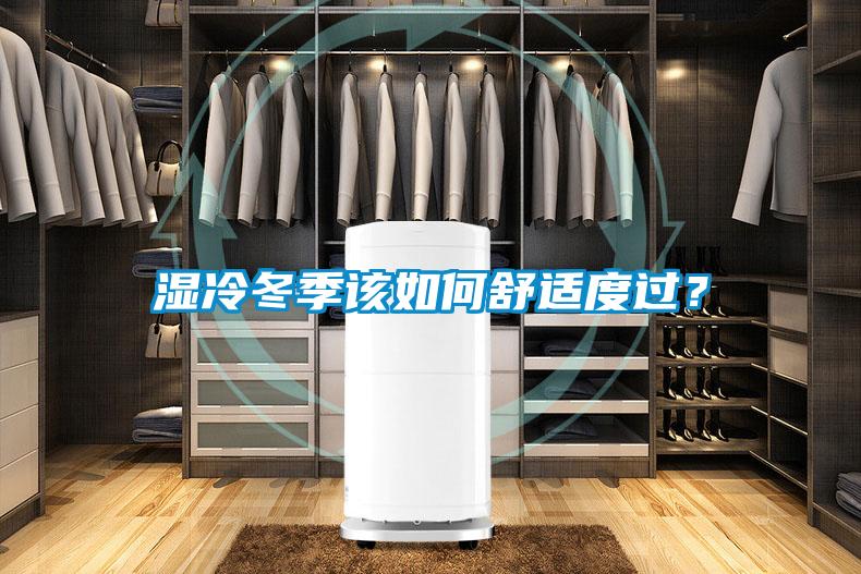 濕冷冬季該如何舒適度過？