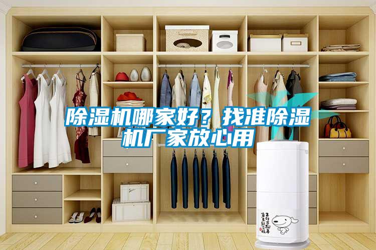 除湿机哪家好？找准除湿机厂家放心用