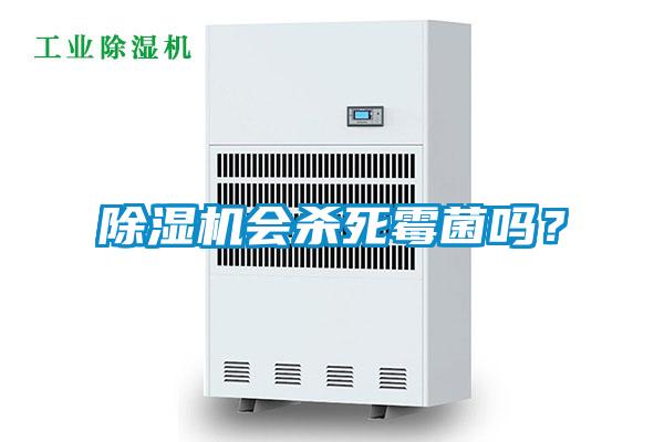 除湿机会杀死霉菌吗？