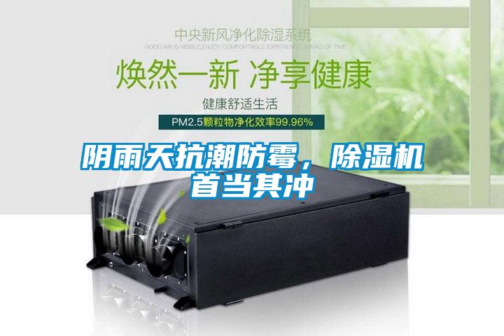 阴雨天抗潮防霉，除湿机首当其冲