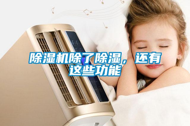 除湿机除了除湿，还有这些功能
