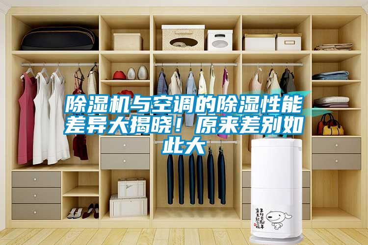 除湿机与空调的除湿性能差异大揭晓！原来差别如此大