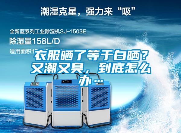 衣服晒了等于白晒？又潮又臭，到底怎么办…