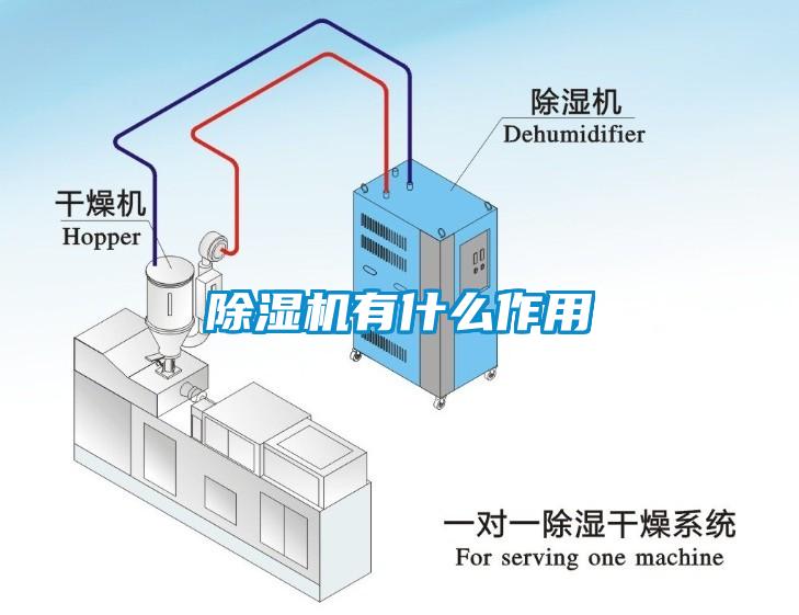 除湿机有什么作用