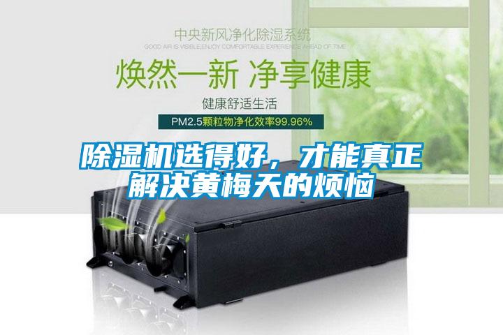 除濕機(jī)選得好，才能真正解決黃梅天的煩惱