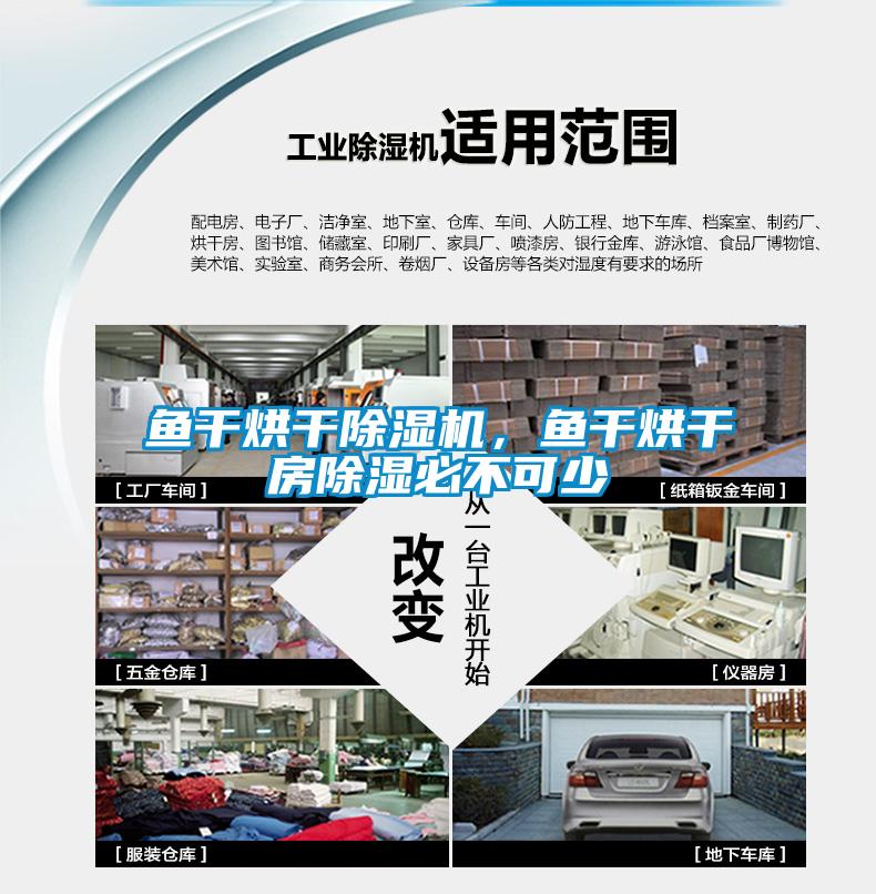 鱼干烘干除湿机，鱼干烘干房除湿必不可少