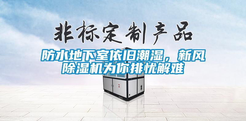防水地下室依旧潮湿，新风除湿机为你排忧解难