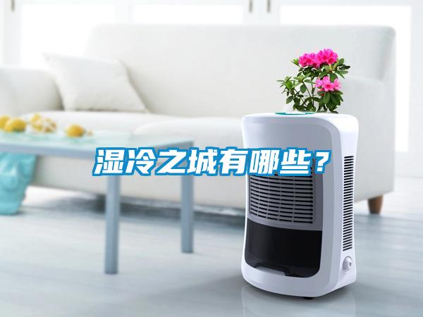 湿冷之城有哪些？