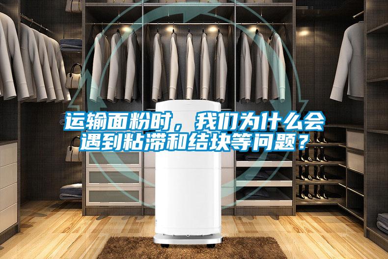 运输面粉时，我们为什么会遇到粘滞和结块等问题？