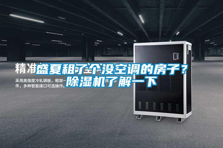 盛夏租了个没空调的房子？除湿机了解一下