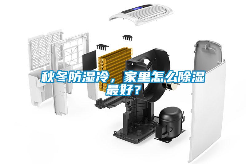 秋冬防湿冷，家里怎么除湿最好？