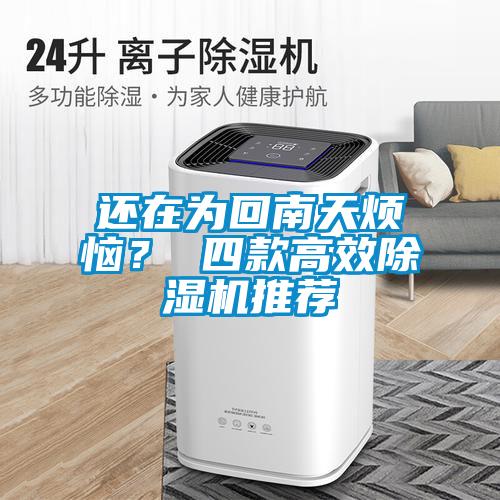 还在为回南天烦恼？ 四款高效除湿机推荐