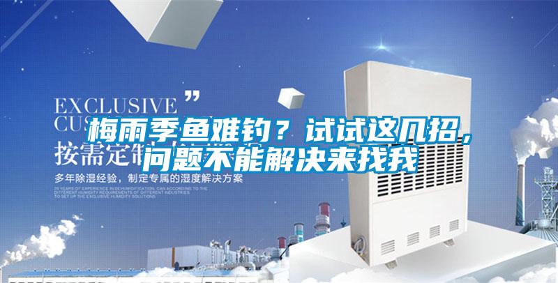 梅雨季魚難釣？試試這幾招，問題不能解決來找我