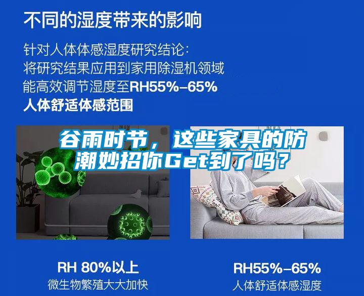 谷雨时节，这些家具的防潮妙招你Get到了吗？