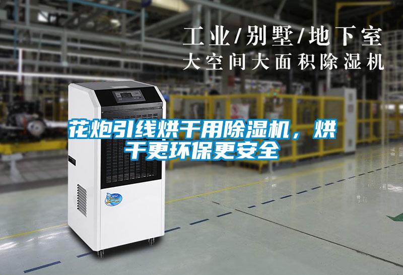 花炮引线烘干用除湿机，烘干更环保更安全