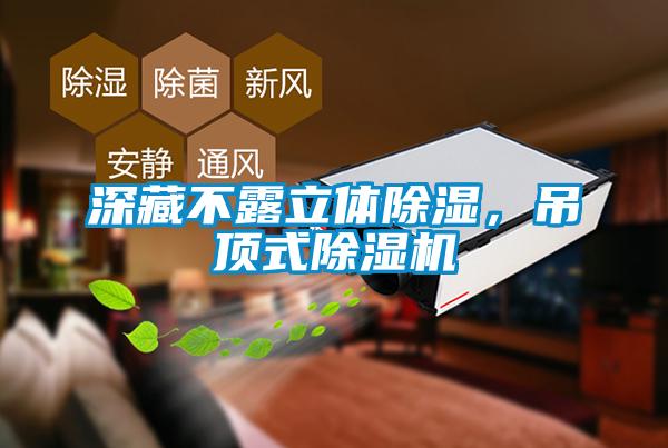深藏不露立体除湿，吊顶式除湿机