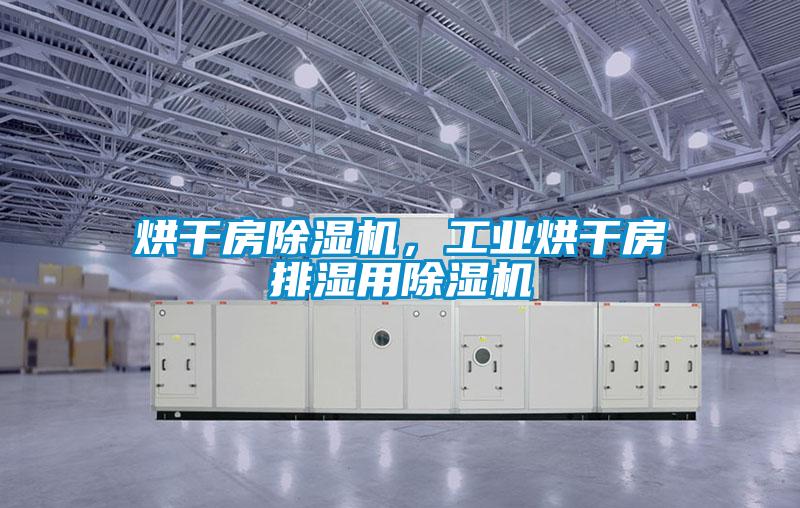 烘干房除湿机，工业烘干房排湿用除湿机