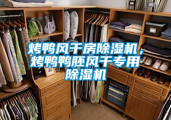 烤鸭风干房除湿机，烤鸭鸭胚风干专用除湿机