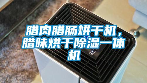 腊肉腊肠烘干机，腊味烘干除湿一体机