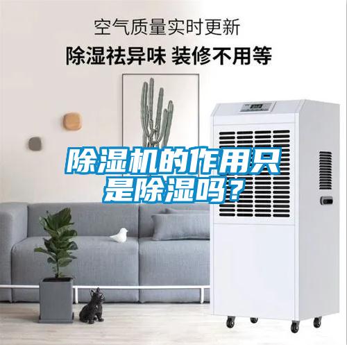 除濕機(jī)的作用只是除濕嗎？