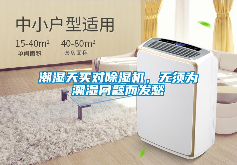 潮湿天买对除湿机，无须为潮湿问题而发愁