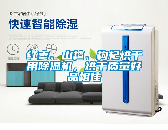 红枣、山楂、枸杞烘干用除湿机，烘干质量好品相佳