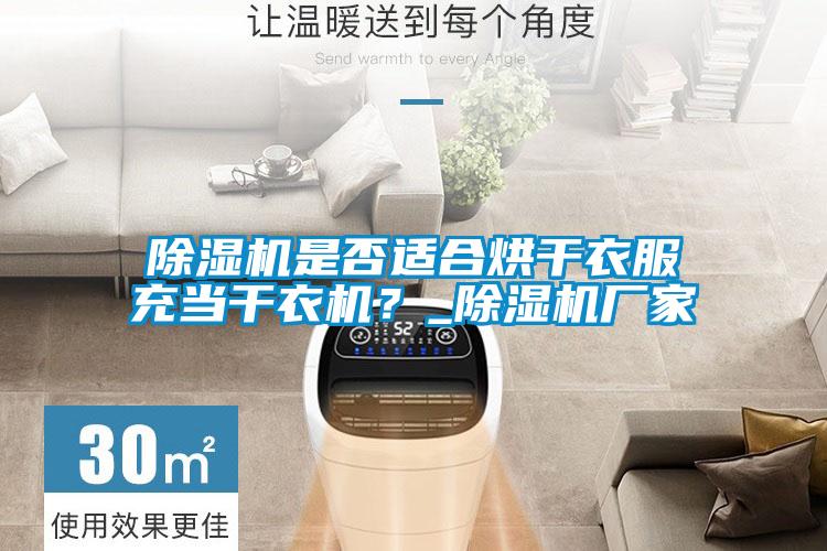 除湿机是否适合烘干衣服充当干衣机？_除湿机厂家