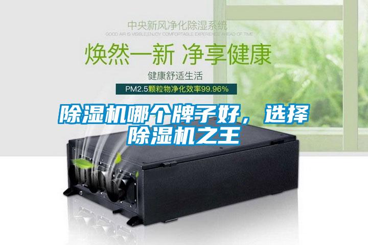 除湿机哪个牌子好，选择除湿机之王
