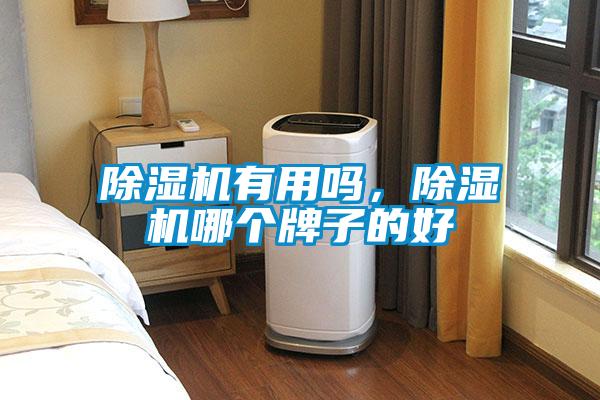 除湿机有用吗，除湿机哪个牌子的好