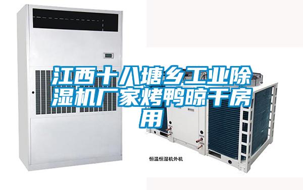 江西十八塘乡工业除湿机厂家烤鸭晾干房用