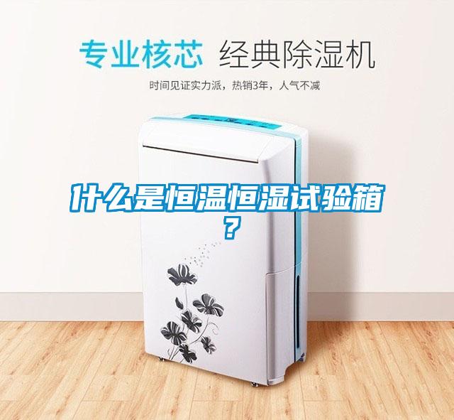 什么是恒温恒湿试验箱？