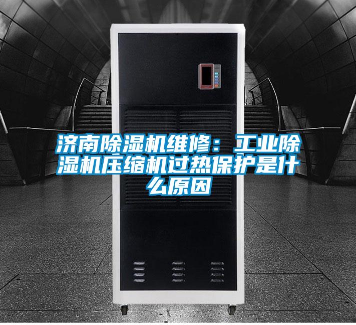 济南除湿机维修：工业除湿机压缩机过热?；な鞘裁丛?/></p>
						    <p style=