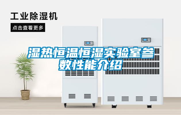 湿热恒温恒湿实验室参数性能介绍