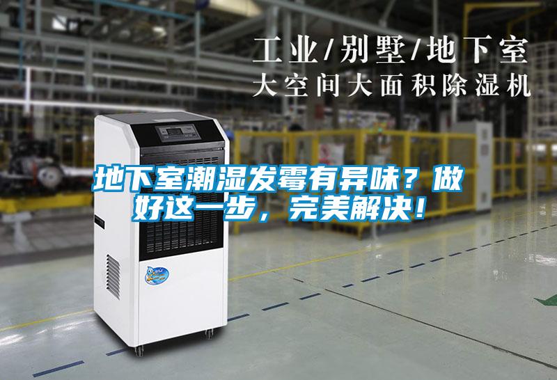 地下室潮湿发霉有异味？做好这一步，完美解决！