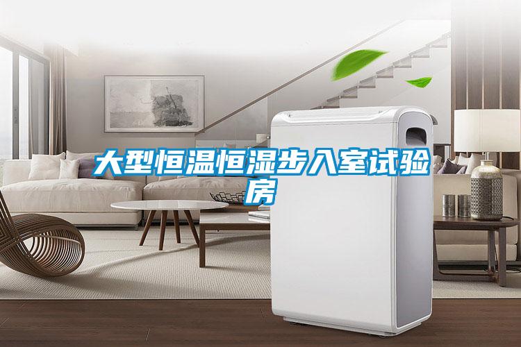 大型恒温恒湿步入室试验房